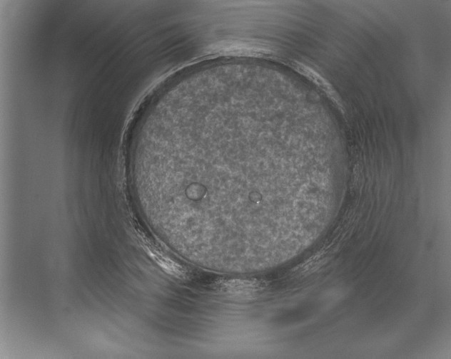 X0000074961027200609221751