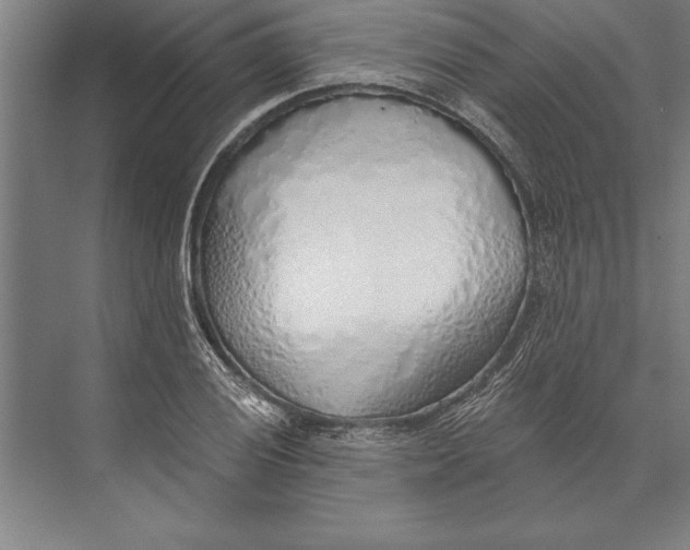 X0000074961028200609221751