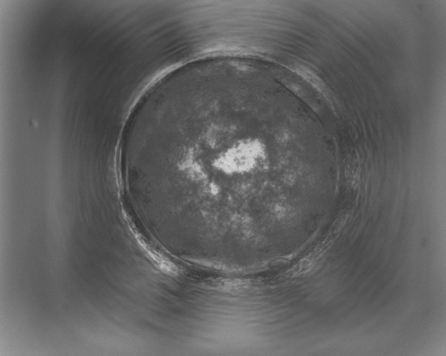 X0000074961030200609221751