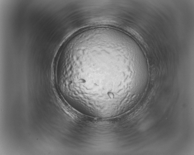 X0000074961031200609221751