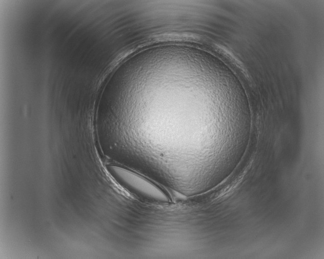 X0000074961033200609221752