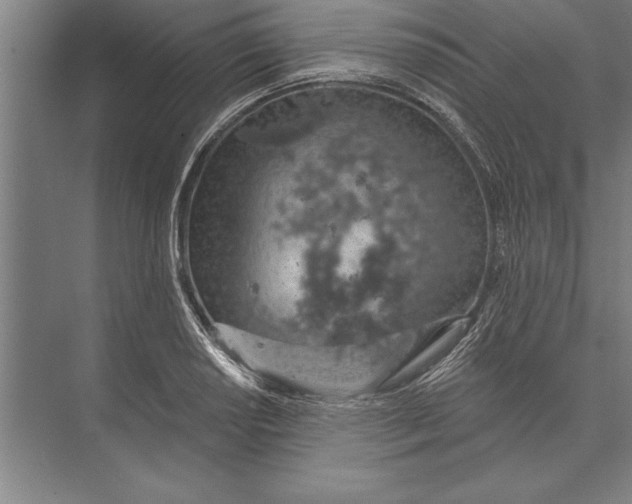 X0000074961034200609221752