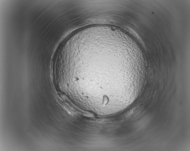 X0000074961035200609221752