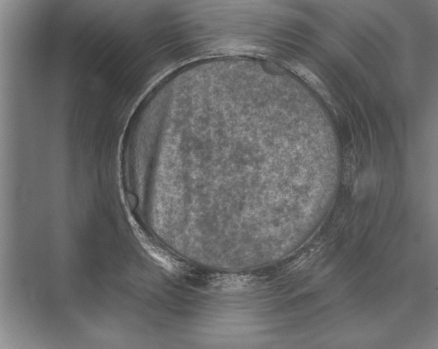 X0000074961039200609221752