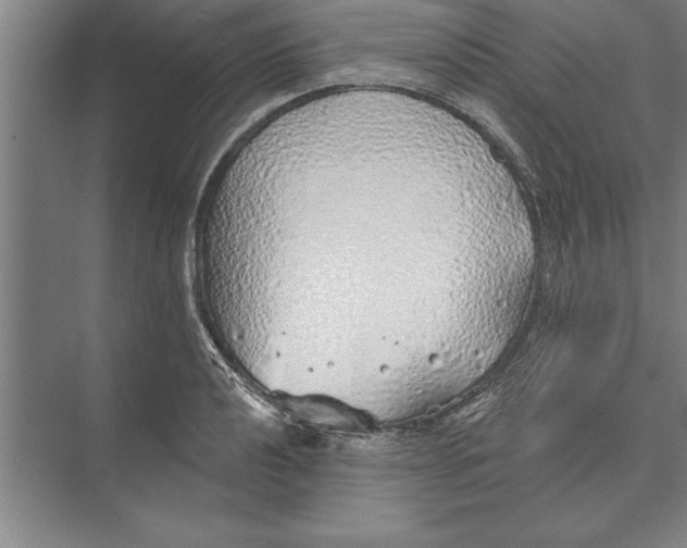 X0000074961040200609221752