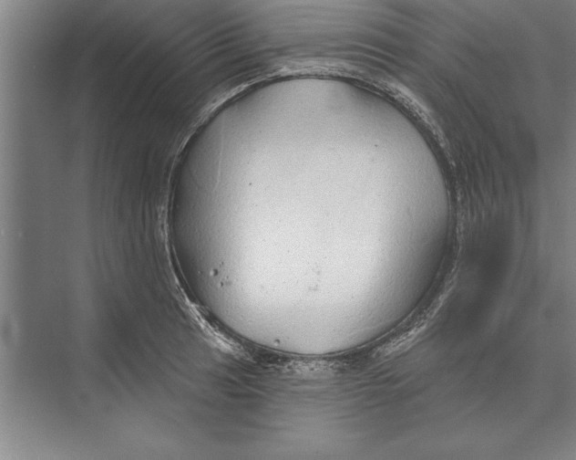 X0000074961041200609221752