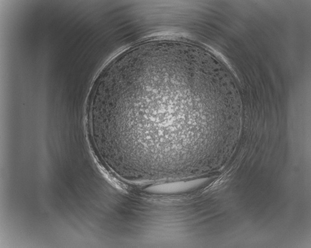 X0000074961042200609221752