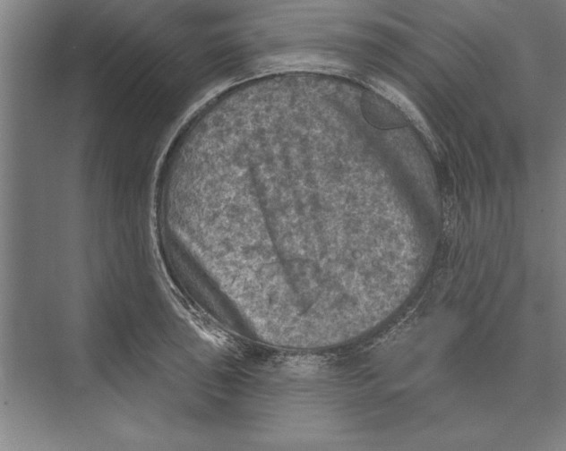 X0000074961043200609221752