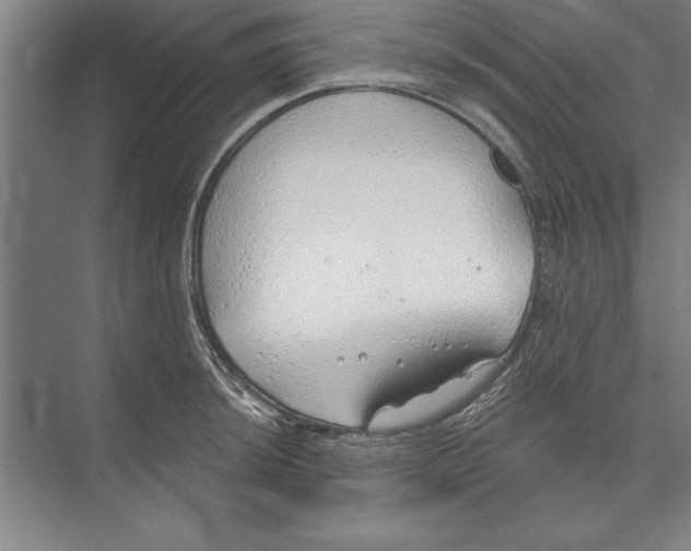 X0000074961044200609221752