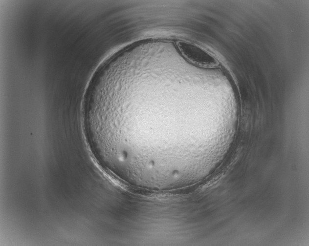 X0000074961045200609221752