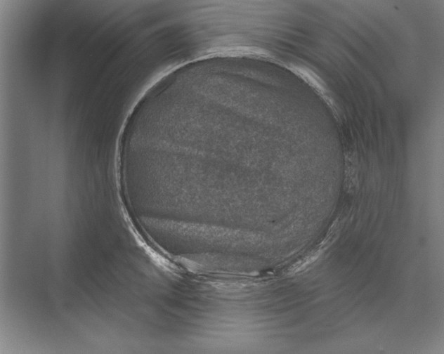 X0000074961046200609221752