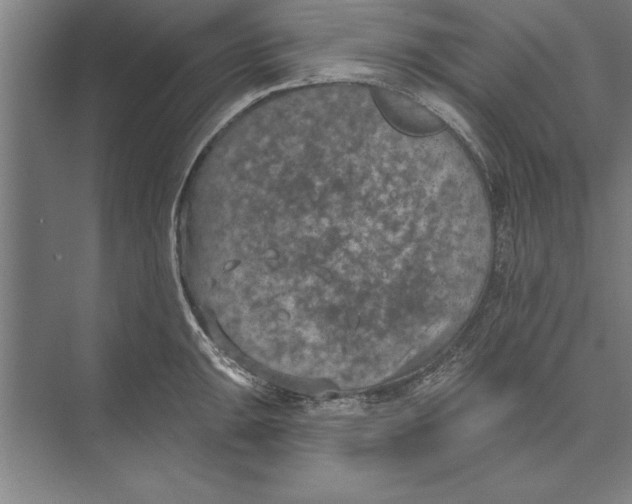 X0000074961047200609221752