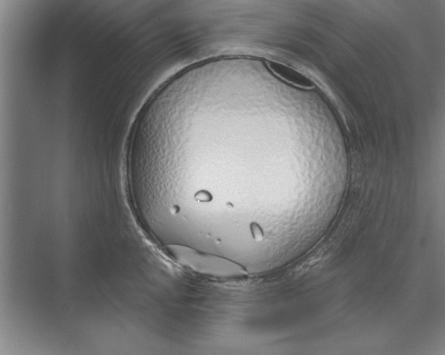 X0000074961048200609221752