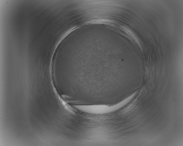 X0000074961050200609221752