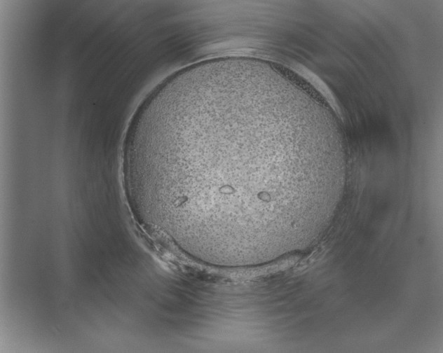 X0000074961051200609221752