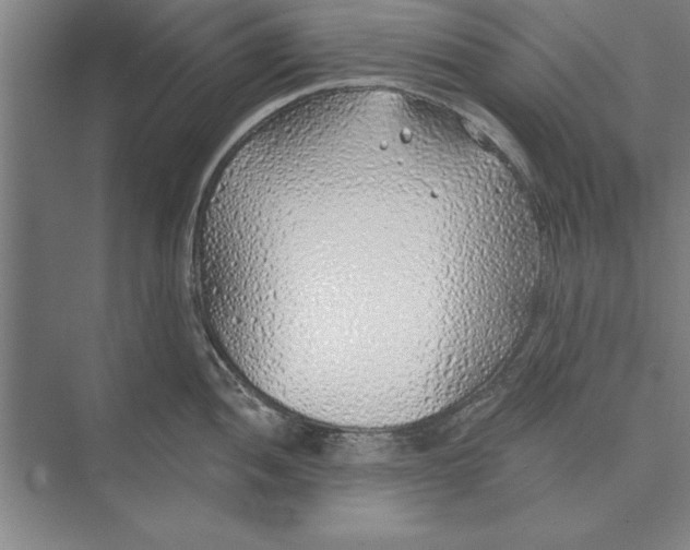 X0000074961052200609221752