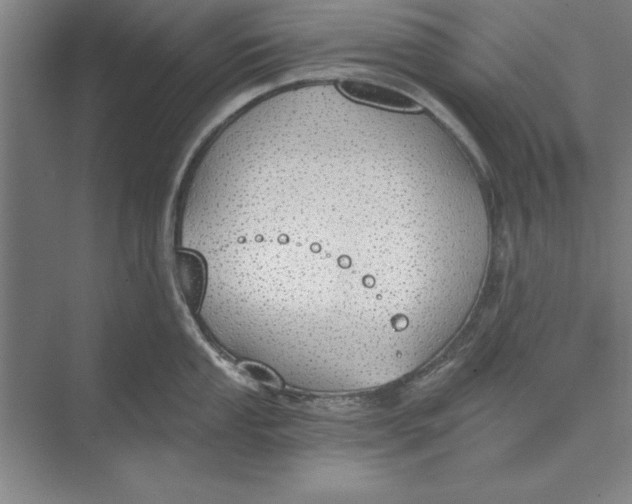 X0000074961053200609221752