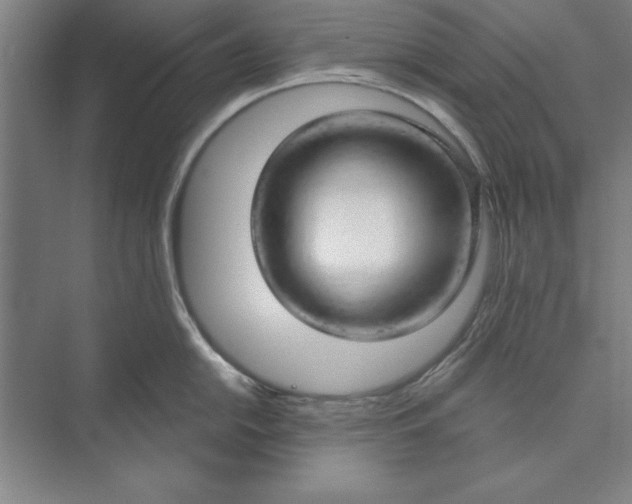 X0000074961054200609221752