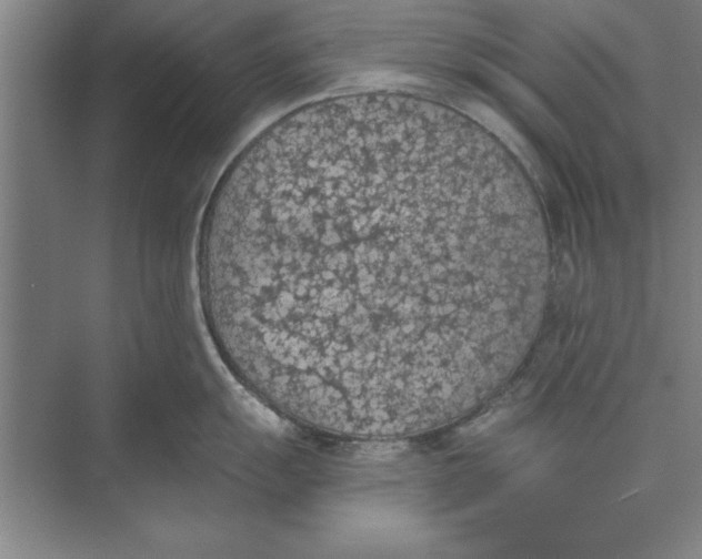 X0000074961055200609221752