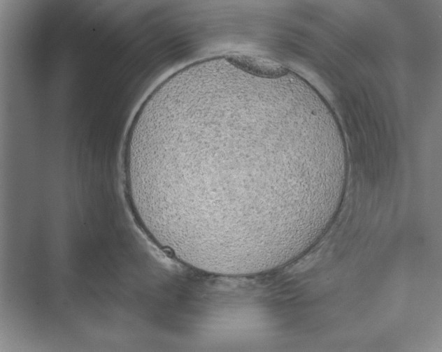 X0000074961056200609221752