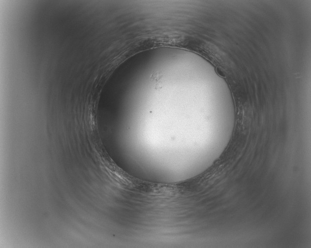 X0000074961058200609221751