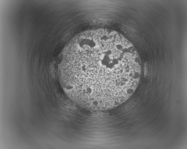 X0000074961059200609221751