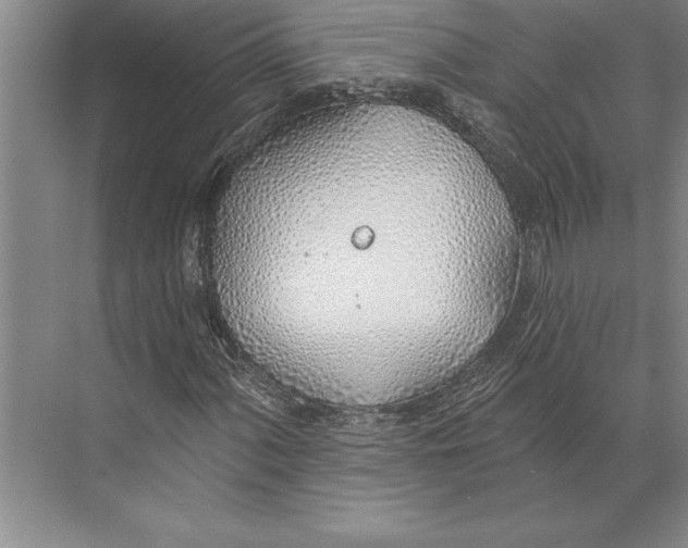 X0000074961060200609221751