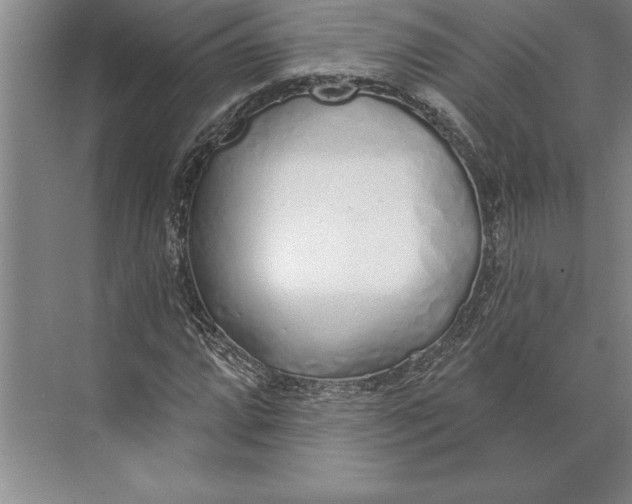 X0000074961064200609221751