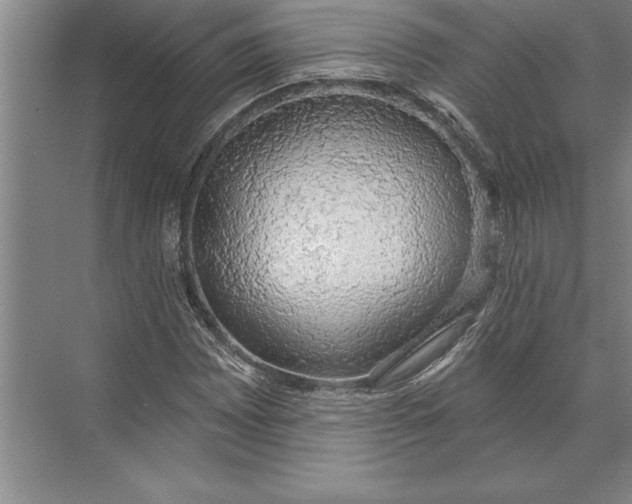 X0000074961065200609221751