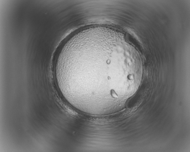 X0000074961071200609221751