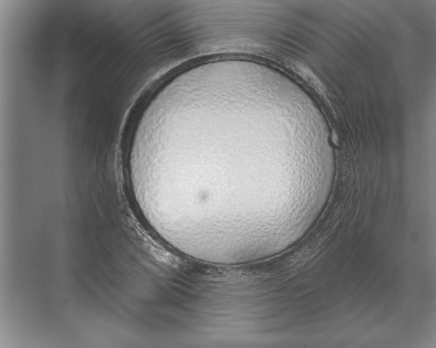 X0000074961072200609221751