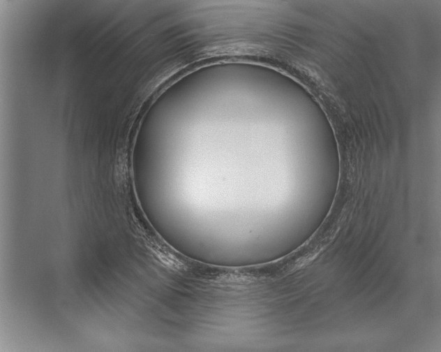 X0000074961073200609221751