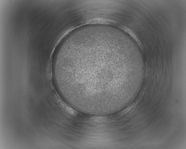 X0000074961075200609221751