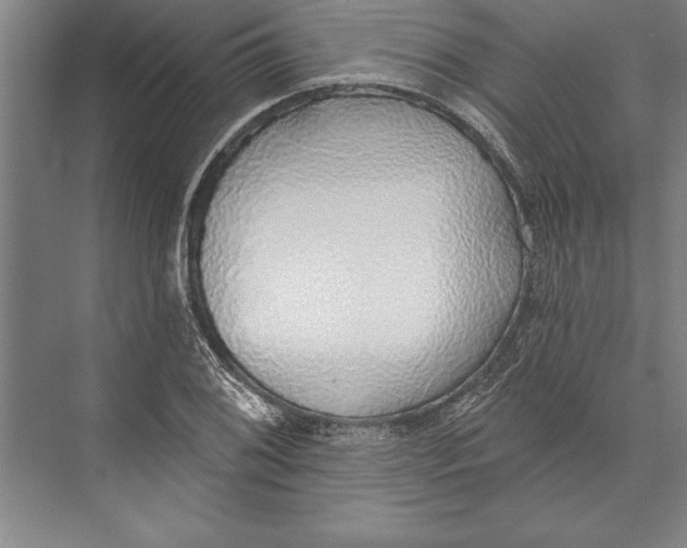 X0000074961076200609221751