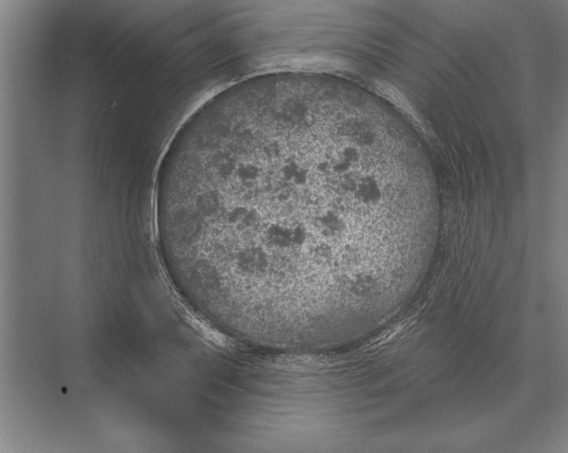 X0000074961079200609221751