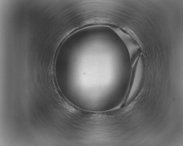 X0000074961081200609221751