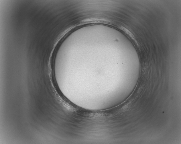 X0000074961082200609221751