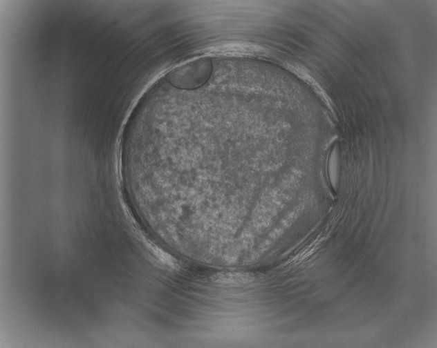 X0000074961083200609221751