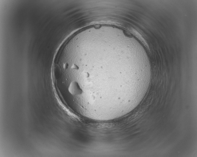 X0000074961084200609221751