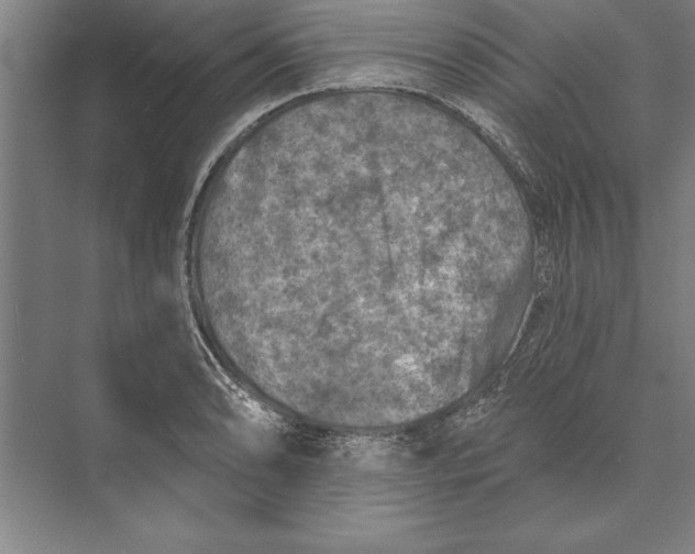 X0000074961086200609221751