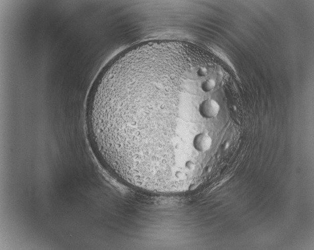 X0000074961087200609221751