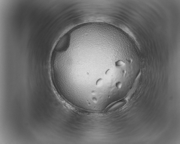 X0000074961088200609221751