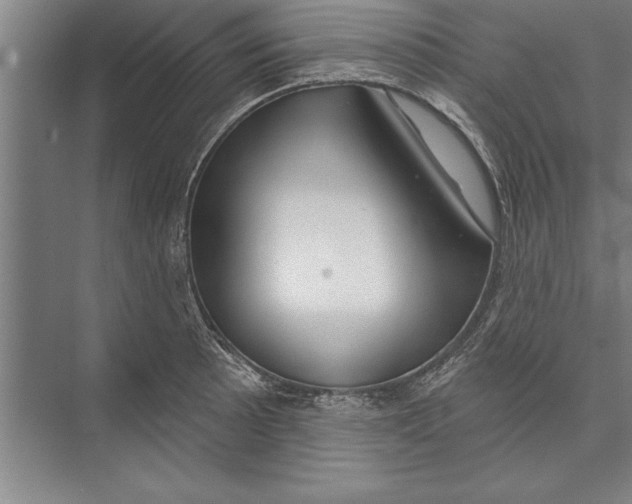 X0000074961089200609221751