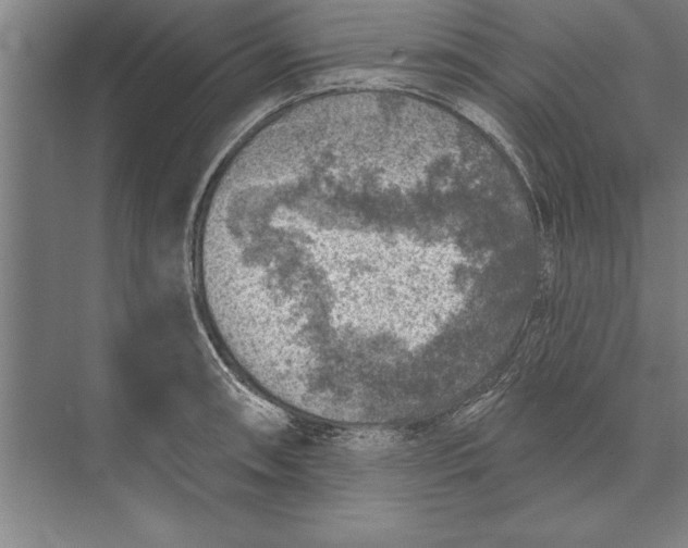 X0000074961090200609221751