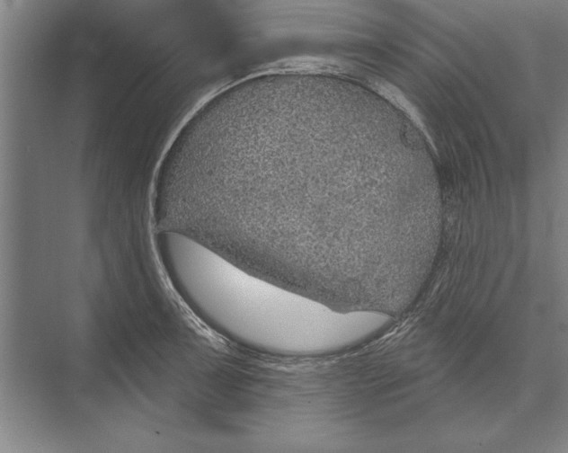 X0000074961091200609221751