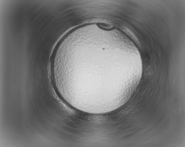 X0000074961092200609221750