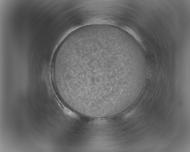 X0000074961094200609221750