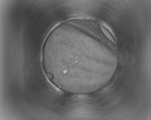 X0000074961095200609221750