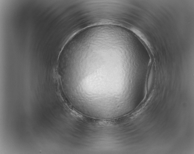 X0000074961097200609221750