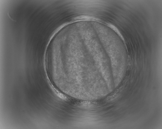 X0000074961098200609221750